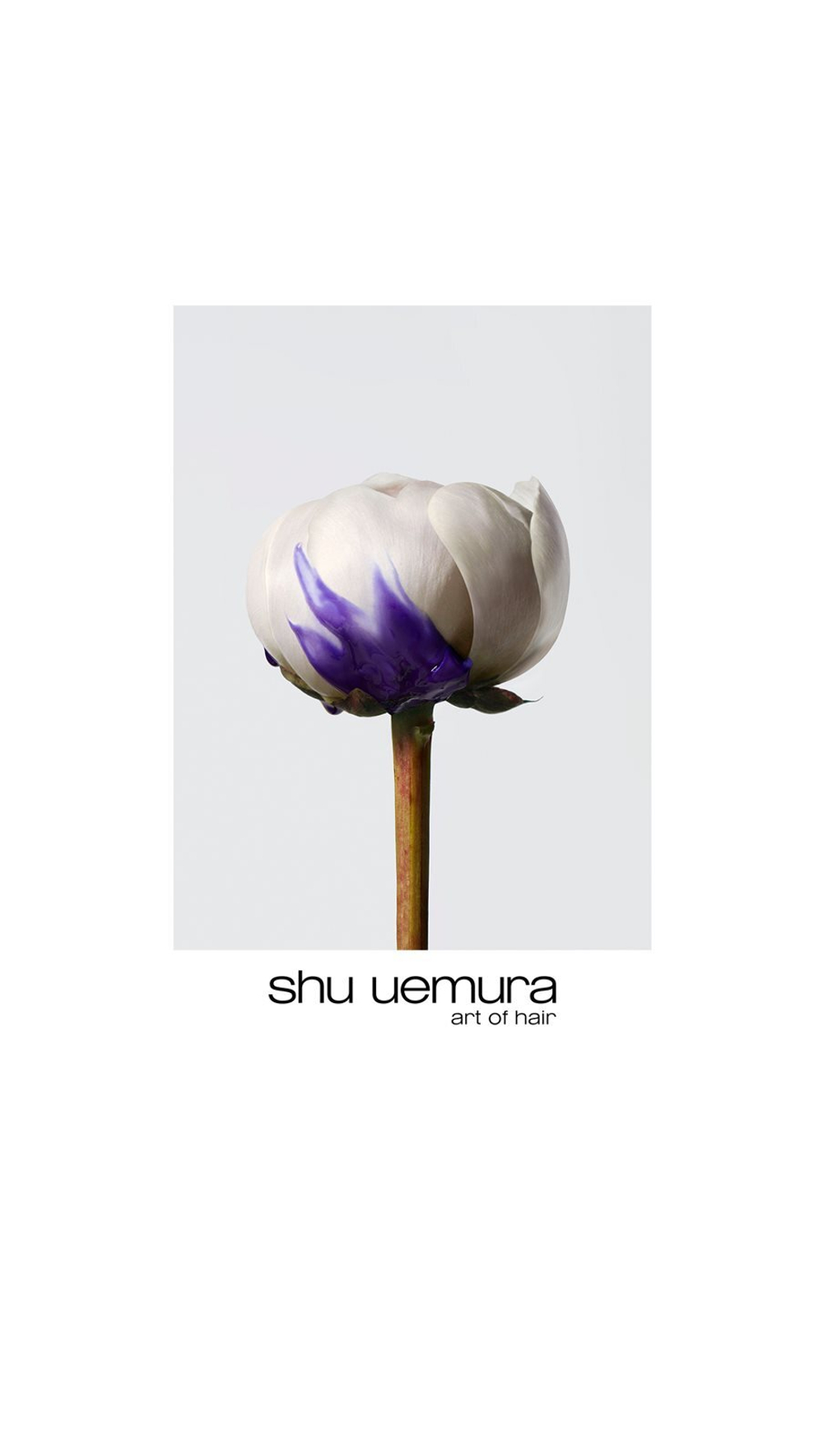 Shu Uemura Yūbi Blonde - укрепляющий кондиционер для светлых волос /   250  ml  / GTIN 3474636956043