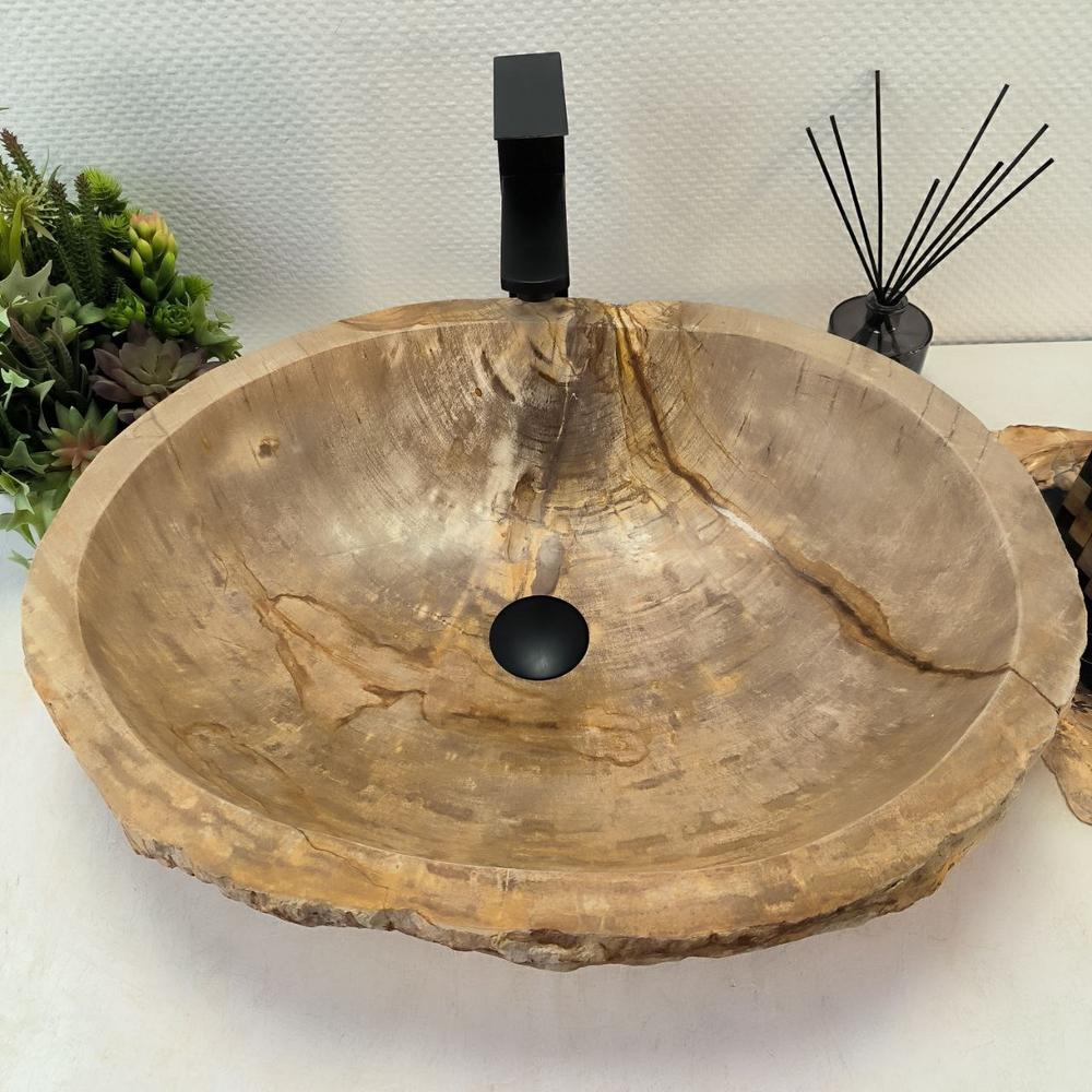 Раковина из окаменелого дерева FossilBasin OD-62450 58*45*14