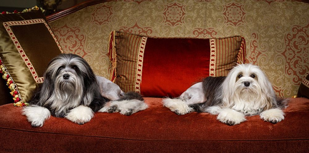 Диван двухместный "Порто"