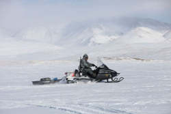 Снегоход РУССКАЯ МЕХАНИКА Тайга Варяг 500