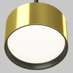 Подвесной светильник Maytoni P102PL-12W4K-BS