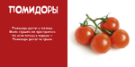 Мои овощи