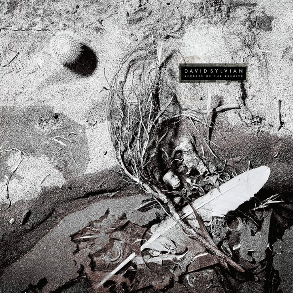 David Sylvian / Secrets Of The Beehive (LP)
