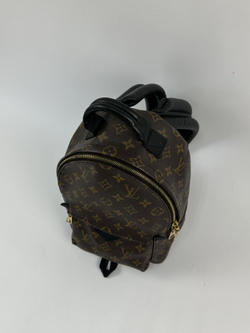 Рюкзак Louis Vuitton Palm Springs Mini