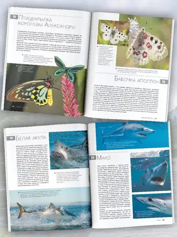 Большая красная книга. 1001 фотография