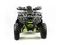 Квадроцикл MOTOLAND 200 Wild Track Pro