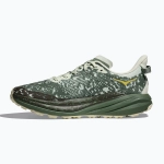 Кроссовки для бега HOKA Speedgoat 6 GTX sea flass/fern