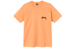 Футболки Stussy Design Group Tee T, 1904653