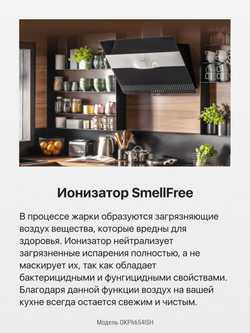 Наклонная вытяжка Hansa OKP6654ISH