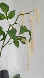 Скабиоза (Лаконос) / Арт 4431