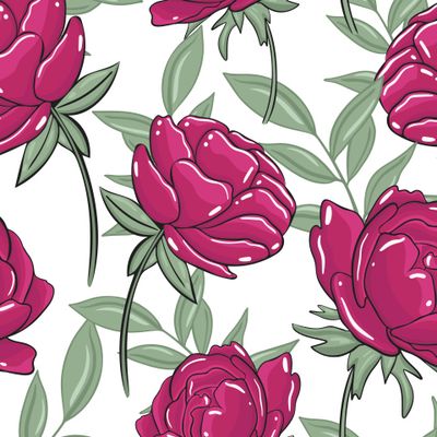 Бордовые пионы