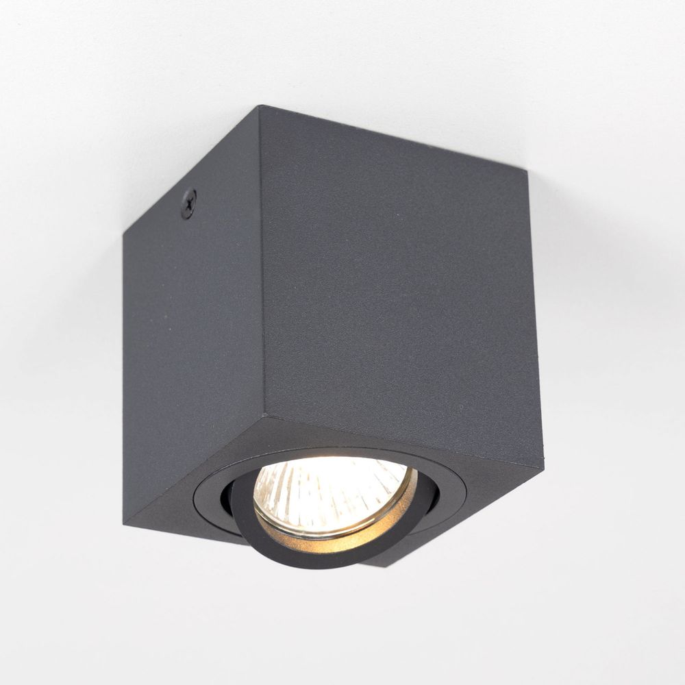 Citilux Дюрен CL538213 Светильник накладной поворотный Чёрный