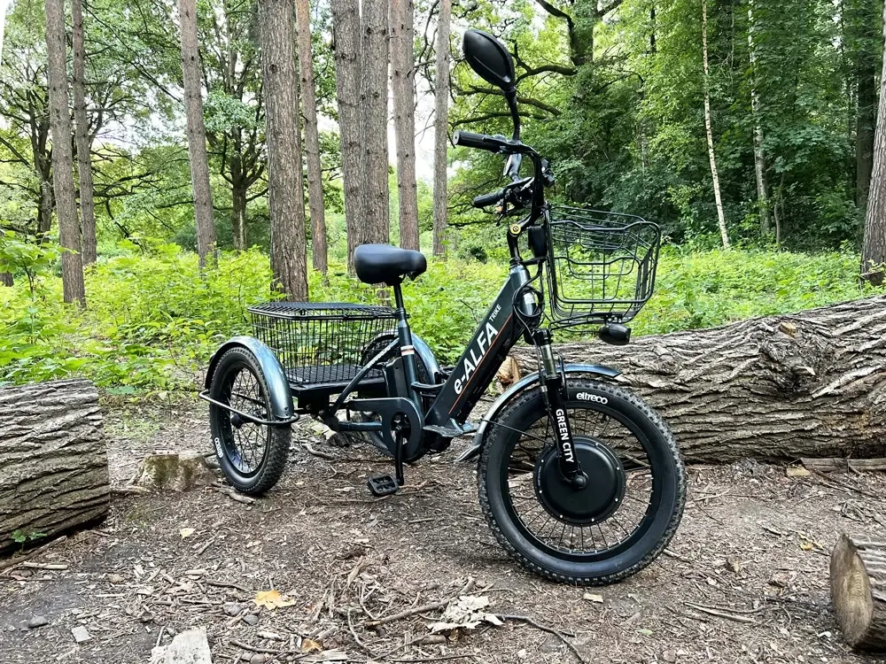 Электровелосипед GREEN CITY e-ALFA Trike (черный)