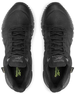 Кроссовки Reebok ASTRORIDE TRAIL GTX BLACK/PUGRY4/WILDLI черно-серый