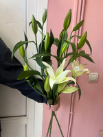 Букет из 3 белых лилий