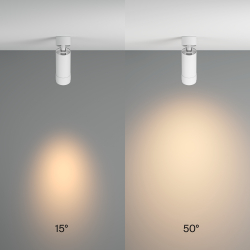 Потолочный светильник Technical C055CL-L12W3K-Z-W