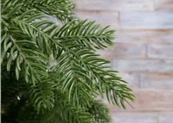 Ель Купеческая, 100% литая хвоя, 230 см., Black Box (74578)
