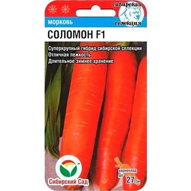 Морковь Соломон