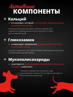 Хондропротектор для собак, Комплекс кальций + глюкозамин для костей и суставов 100г. BP Gluco Kyoritsu Shokai