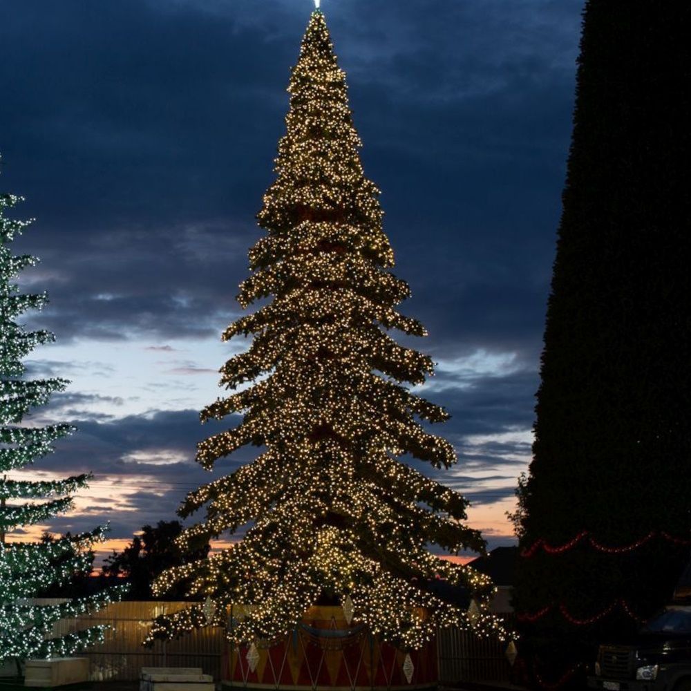 светодинамическая елка "Таежная" ствольная