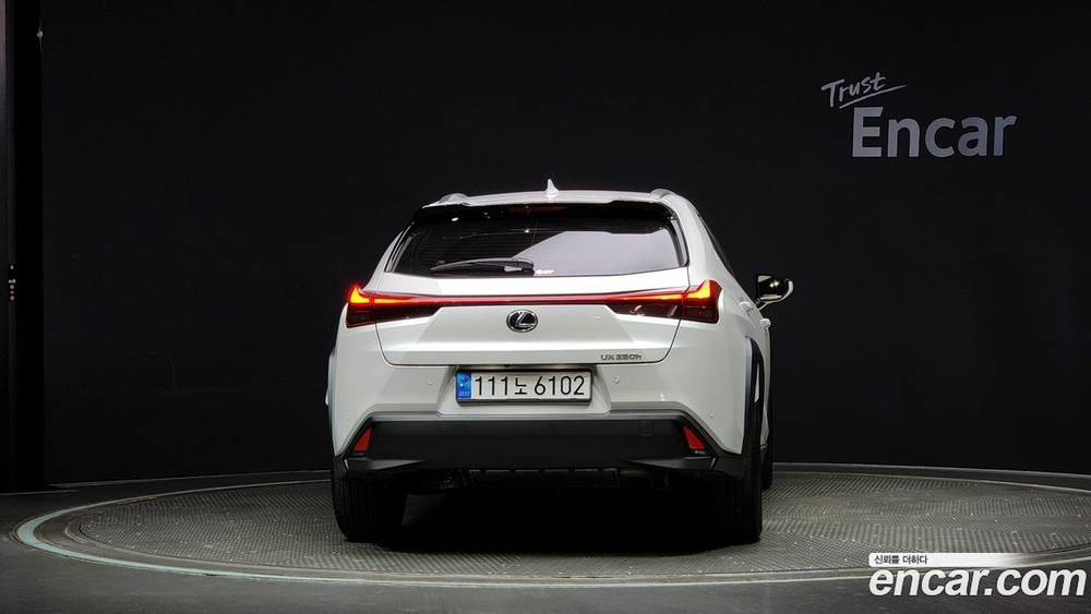 Lexus UX250h 2.0 2WD (02.2023)