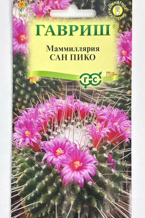 Маммиллярия Толука (Кактус) Сан пико 2 шт CМЦ-932