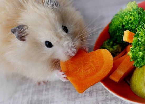 Корма и лакомства для грызунов