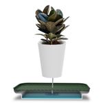 Лоток для полива растений oasis tray, белый