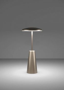 Настольная лампа декоративная Eglo PICCOLA 900924