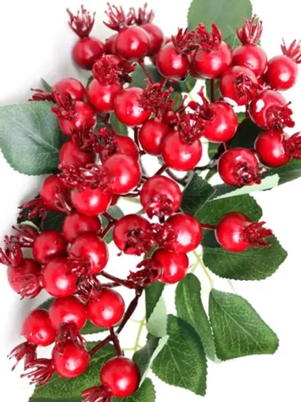 Шиповник, 5 веток.