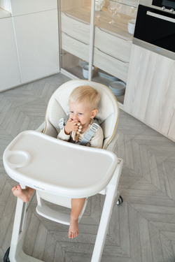 Стульчики для кормления Peg-perego Siesta №3 - 9-0369