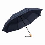 Автоматический ветроустойчивый складной зонт CALYPSO