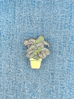 Значок Калатея