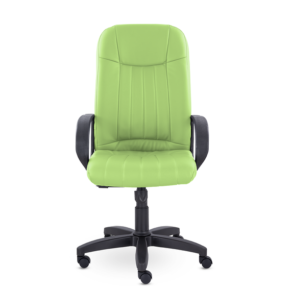 Кресло СН-277 Бостон В пластик 727 S-0406 (фисташковый)