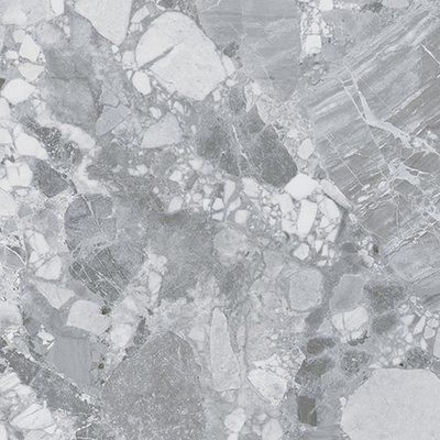 Керамогранит Forte Dei Marmi Ceppo Apuano Pearl Polished 80x80