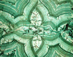 Гибкий камень S113G_L