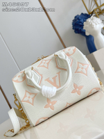 Louis Vuitton Speedy 20