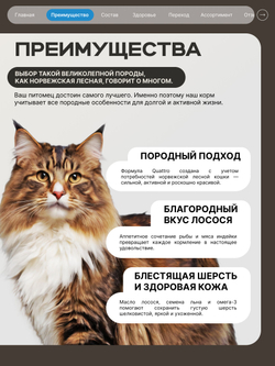 Корм сухой для взрослых кошек породы Норвежская лесная, с лососем, 2 кг, QUATTRO