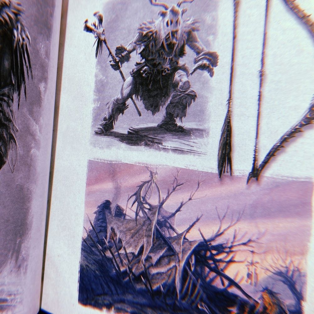 Скайрим. Человек, мер и зверь