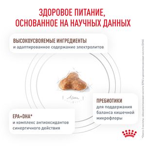 Корм для кошек, Royal Canin Fibre Response FR31, с повышенным содержанием клетчатки для кошек при запорах