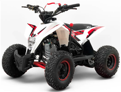 Детский квадроцикл бензиновый MOTAX GEKKON 90 cc 1+1 (Реверс)