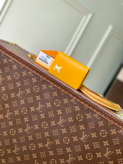 Louis Vuitton Pocket Organizer