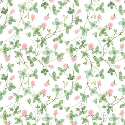 Луговой клевер