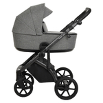 Детская коляска Roan Bass Next 2 в 1 RN027/1 Titanium