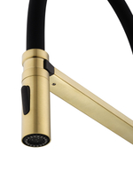 Смеситель для кухни с гибким изливом WONZON & WOGHAND, Брашированное золото (WW-88438003-BG)