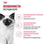 Royal Canin Kitten Киттен Корм сухой сбалансированный для котят в период второй фазы роста до 12 месяцев 300г
