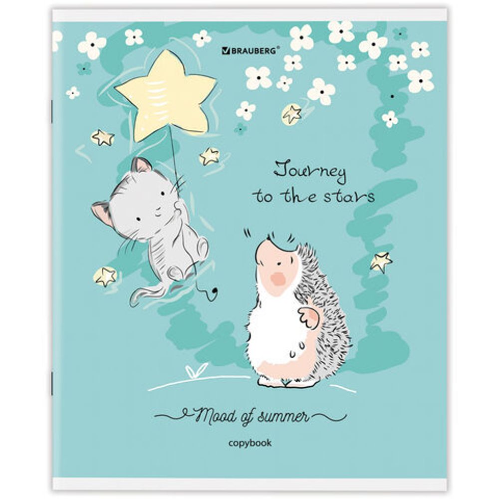 Тетрадь А5 48 л. BRAUBERG скоба, клетка, обложка картон, "Приключения Ёжика", 404366, 5шт