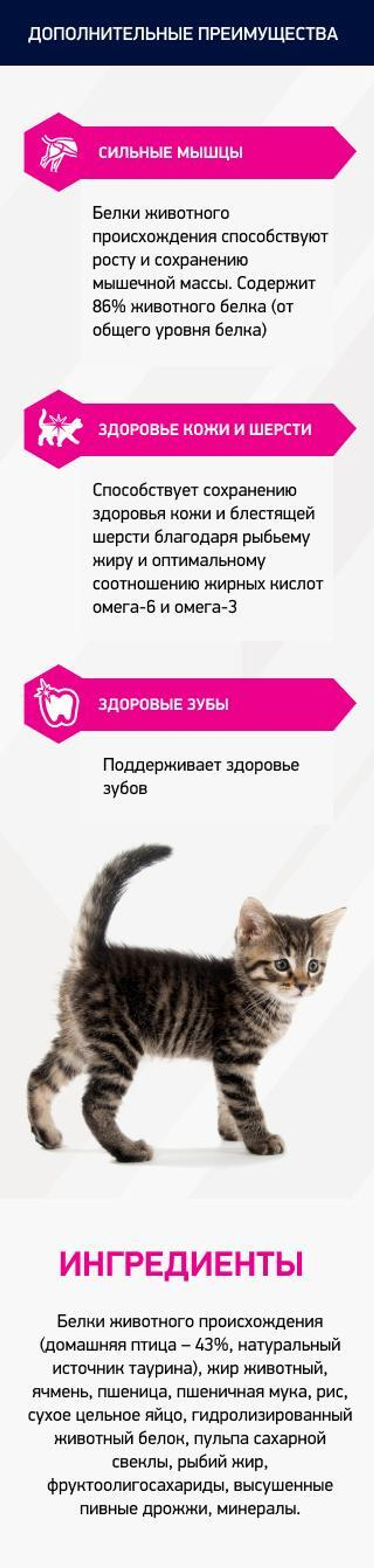 Eukanuba Kitten Healthy Start сбалансированный сухой корм для котят 5 кг