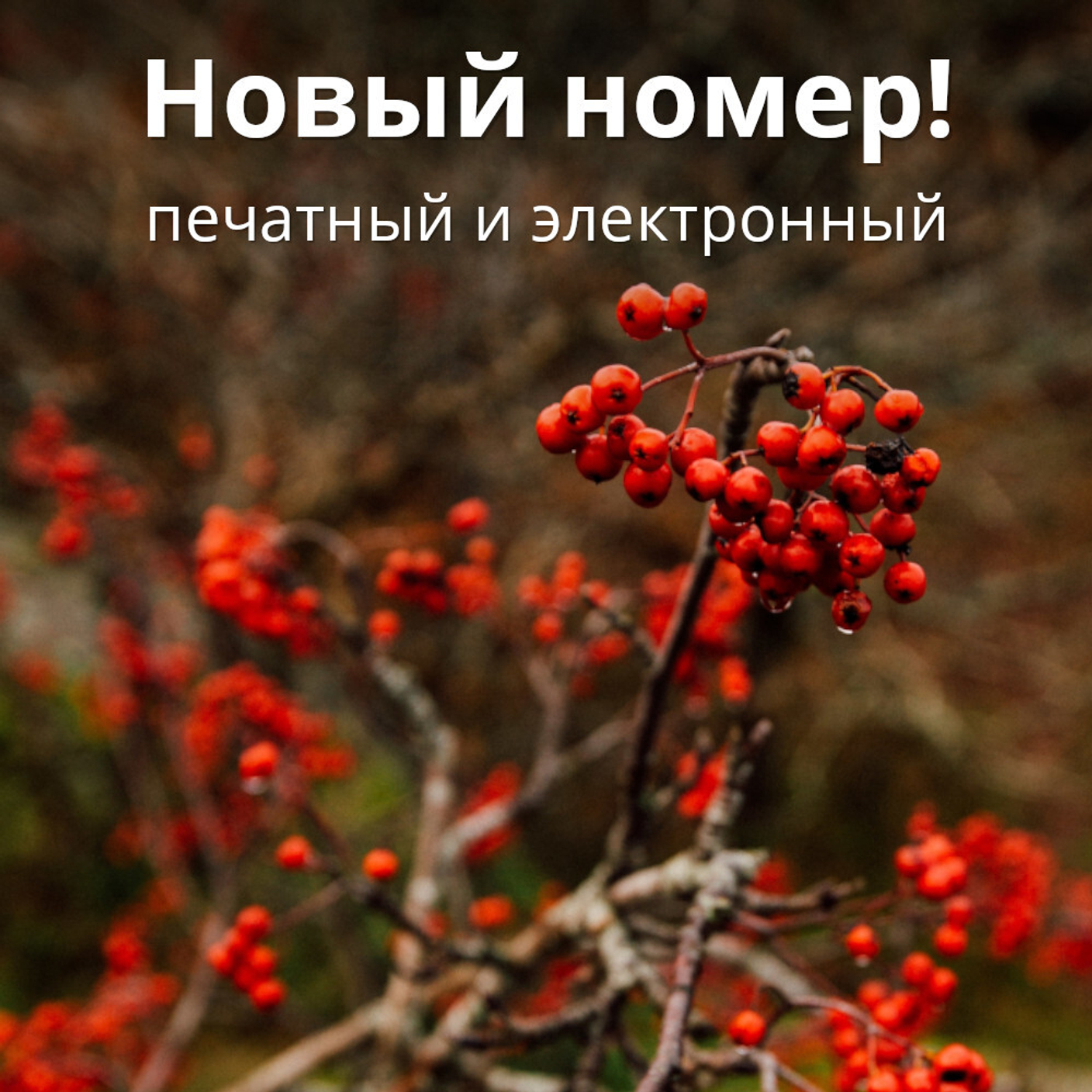 Журнал «Фома» № 10 (258) октябрь 2024 г.