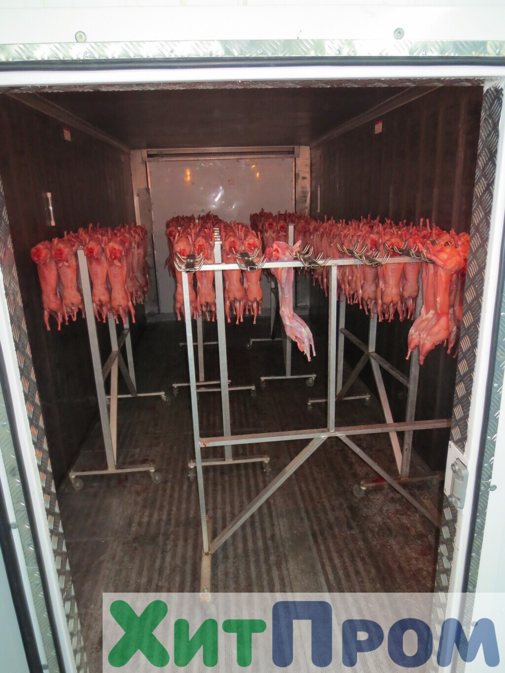 Комплекс убоя и переработки кроликов до 150 голов/час. Детское питание. Тульская область.